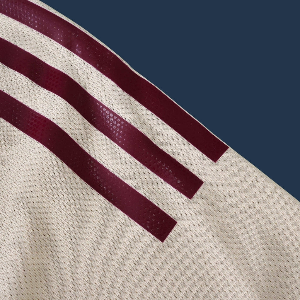 Ajax Third 25-26 Player Version