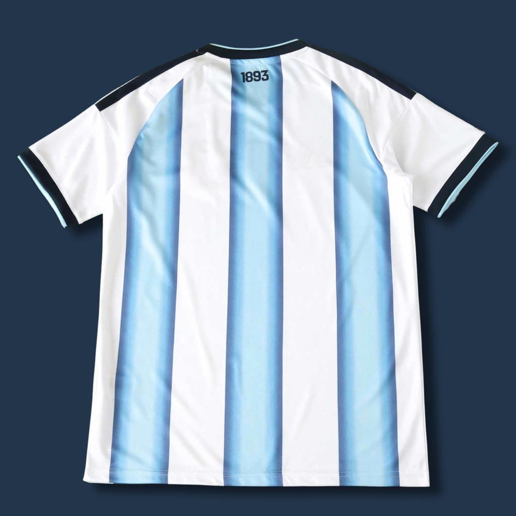 Argentina Home WC 26 Fans Version